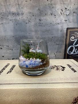 ミルキーグリーン 横浜赤レンガ倉庫に投稿された画像（2023/3/12）