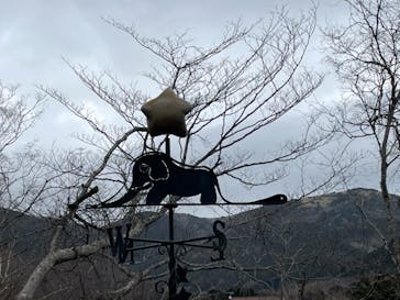 星の王子さまミュージアム 箱根サン=テグジュペリに投稿された画像（2023/3/12）