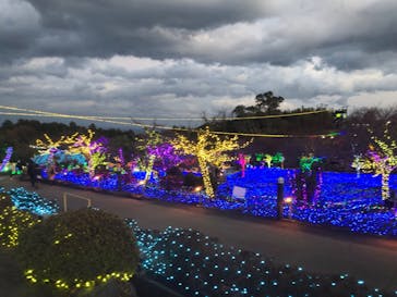 伊豆ぐらんぱる公園に投稿された画像（2023/3/12）