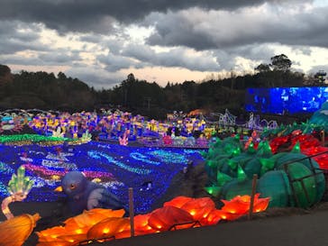 伊豆ぐらんぱる公園に投稿された画像（2023/3/12）