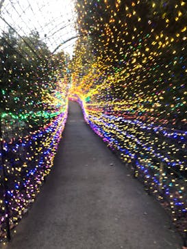 伊豆ぐらんぱる公園に投稿された画像（2023/3/12）