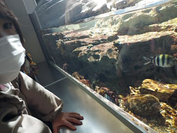 名古屋港水族館に投稿された画像（2023/3/12）