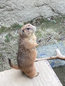 ひらかたパークに投稿された画像（2023/3/12）