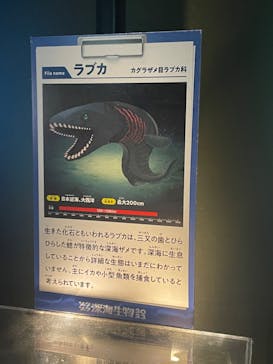 サンシャイン水族館に投稿された画像（2023/3/12）
