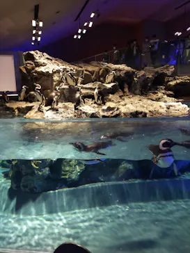 すみだ水族館に投稿された画像（2023/3/12）