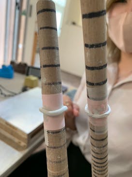 師楽に投稿された画像（2023/3/12）