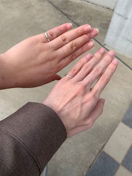 師楽に投稿された画像（2023/3/12）