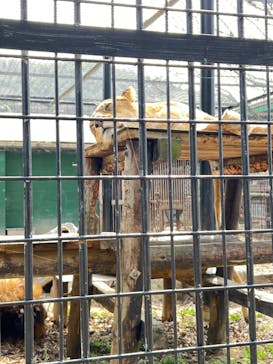 しろとり動物園に投稿された画像（2023/3/12）