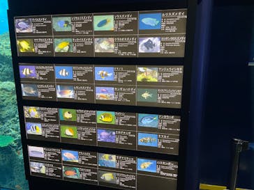 アクアワールド茨城県大洗水族館に投稿された画像（2023/3/12）