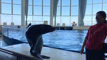 アクアワールド茨城県大洗水族館に投稿された画像（2023/3/12）