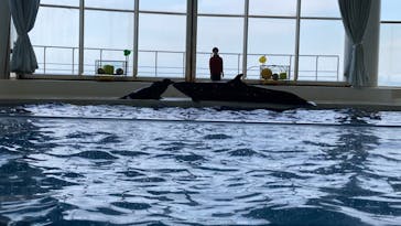 アクアワールド茨城県大洗水族館に投稿された画像（2023/3/12）