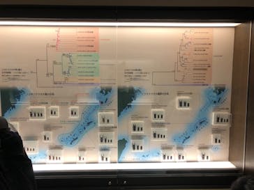 国立科学博物館に投稿された画像（2023/3/13）