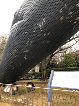 国立科学博物館に投稿された画像（2023/3/13）