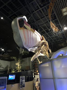 国立科学博物館に投稿された画像（2023/3/13）