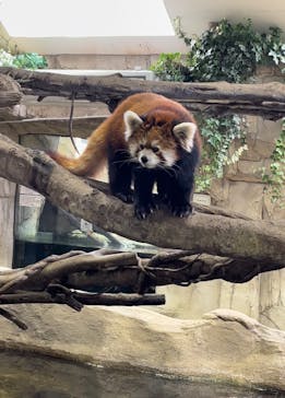 那須どうぶつ王国に投稿された画像（2023/3/13）