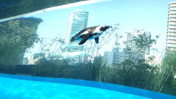 サンシャイン水族館に投稿された画像（2023/3/13）