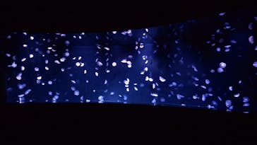 サンシャイン水族館に投稿された画像（2023/3/13）