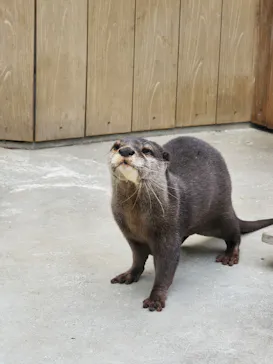 横浜・八景島シーパラダイスに投稿された画像（2023/3/13）