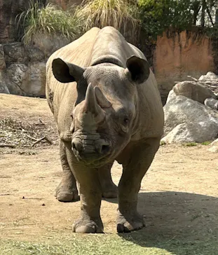 天王寺動物園に投稿された画像（2023/3/13）