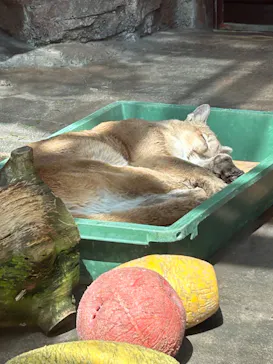 天王寺動物園に投稿された画像（2023/3/13）