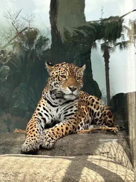 天王寺動物園に投稿された画像（2023/3/13）