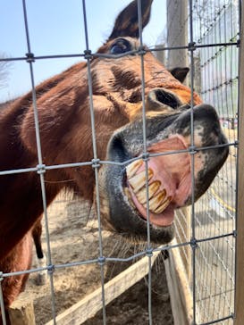 伊香保グリーン牧場に投稿された画像（2023/3/13）