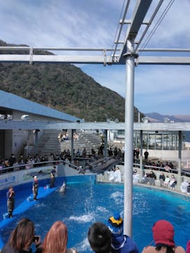 大分マリーンパレス水族館 「うみたまご」に投稿された画像（2023/3/13）