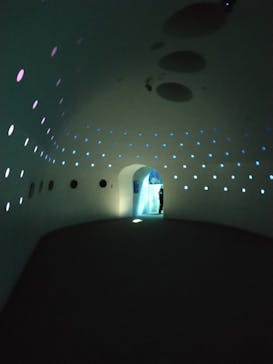 大分マリーンパレス水族館 「うみたまご」に投稿された画像（2023/3/13）