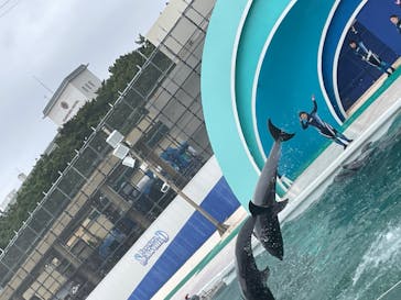 鴨川シーワールドに投稿された画像（2023/3/13）