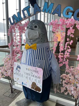 大分マリーンパレス水族館 「うみたまご」に投稿された画像（2023/3/13）