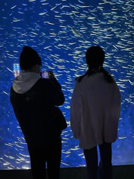大分マリーンパレス水族館 「うみたまご」に投稿された画像（2023/3/13）