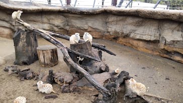 よこはま動物園ズーラシアに投稿された画像（2023/3/13）