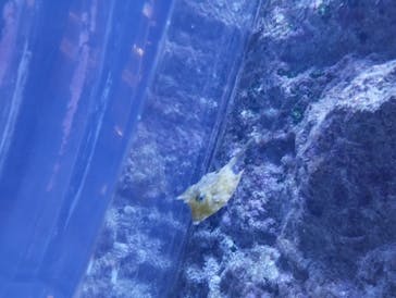 名古屋港水族館に投稿された画像（2023/3/13）