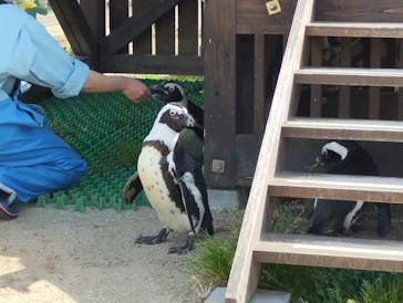 名古屋港水族館に投稿された画像（2023/3/13）