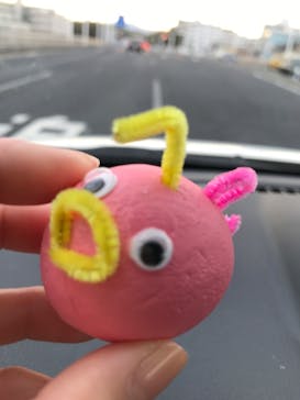 新江ノ島水族館に投稿された画像（2023/3/13）