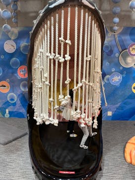 大分マリーンパレス水族館 「うみたまご」に投稿された画像（2023/3/13）