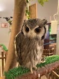 Moff animal cafe イオンモール幕張新都心店に投稿された画像（2023/3/13）