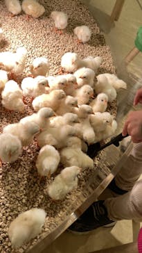 Moff animal cafe イオンモール幕張新都心店に投稿された画像（2023/3/13）