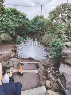 伊豆シャボテン動物公園に投稿された画像（2023/3/13）