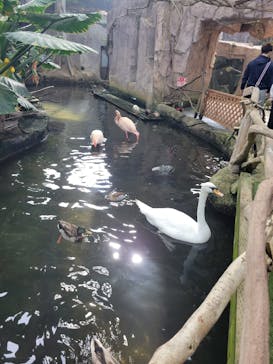 那須どうぶつ王国に投稿された画像（2023/3/13）