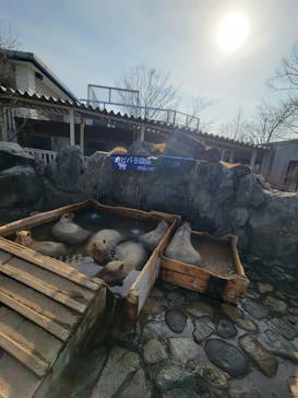 那須どうぶつ王国に投稿された画像（2023/3/13）