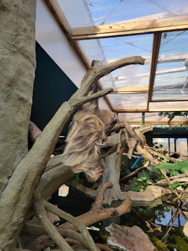 那須どうぶつ王国に投稿された画像（2023/3/13）