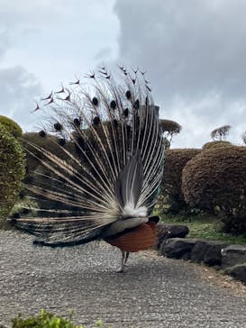 伊豆シャボテン動物公園に投稿された画像（2023/3/13）