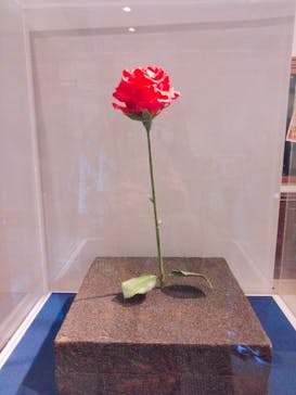 星の王子さまミュージアム 箱根サン=テグジュペリに投稿された画像（2023/3/13）