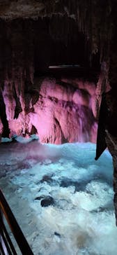 おきなわワールドに投稿された画像（2023/3/13）