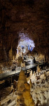 おきなわワールドに投稿された画像（2023/3/13）