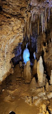 おきなわワールドに投稿された画像（2023/3/13）