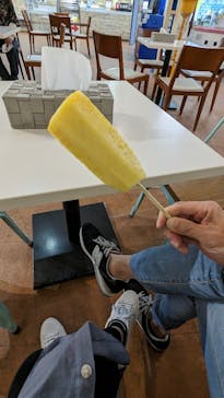 ナゴパイナップルパークに投稿された画像（2023/3/13）