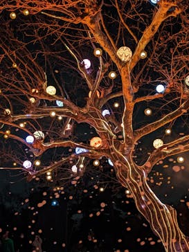 西武園ゆうえんちに投稿された画像（2023/3/13）