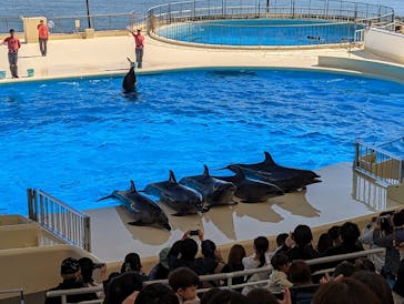 マリンワールド海の中道に投稿された画像（2023/3/13）